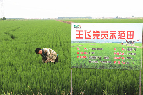 1597365528234351.jpg IMG_9567_副本.jpg