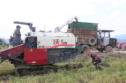 1634868072670141.jpg IMG_2500_副本.jpg