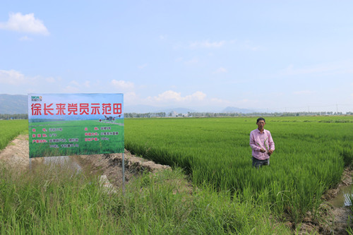1637541023642930.jpg IMG_1860_副本.jpg