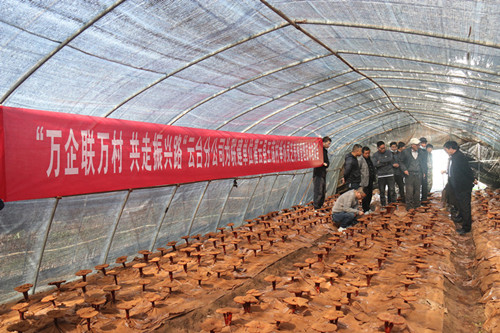 1638836308356035.jpg IMG_2381_副本_副本.jpg