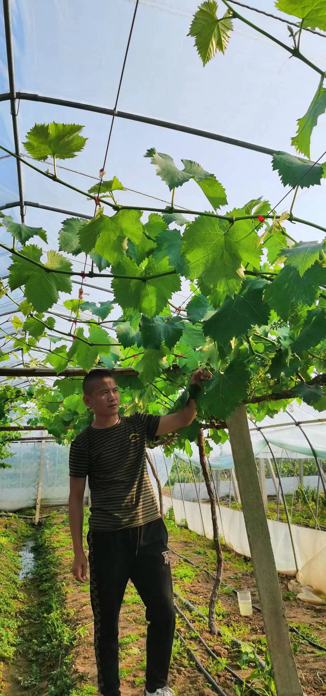 微信图片_20220510092238.jpg
