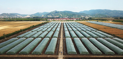 1654044849419142.jpg 主图_副本_副本.jpg