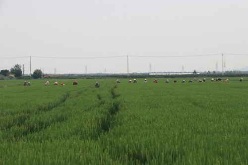 IMG_1964_副本.jpg