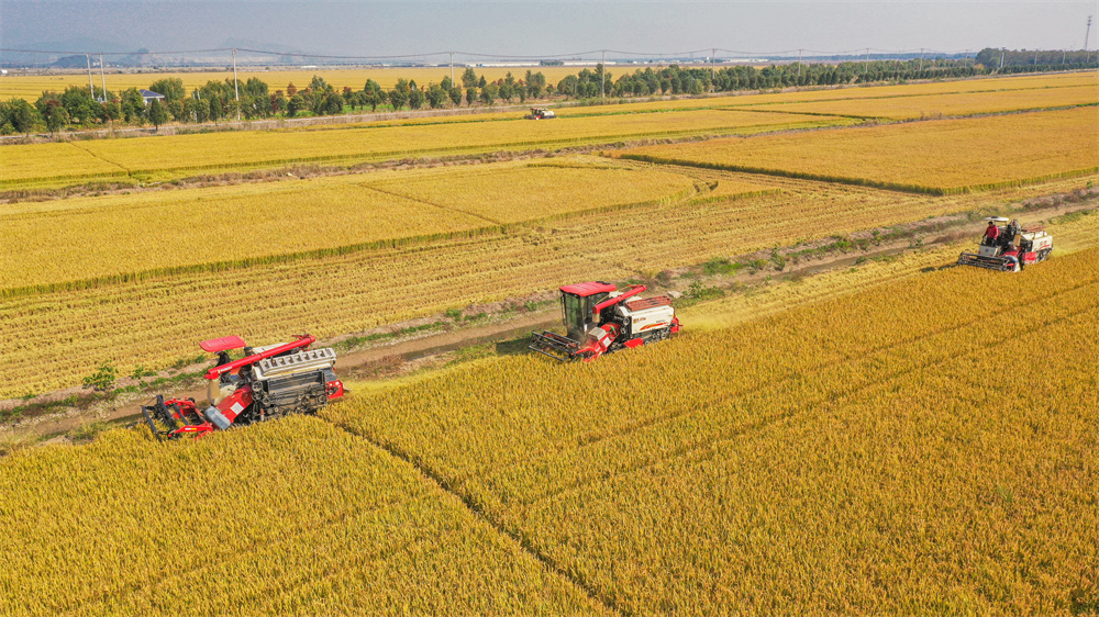 1698044281722489.jpg DJI_0840.jpg