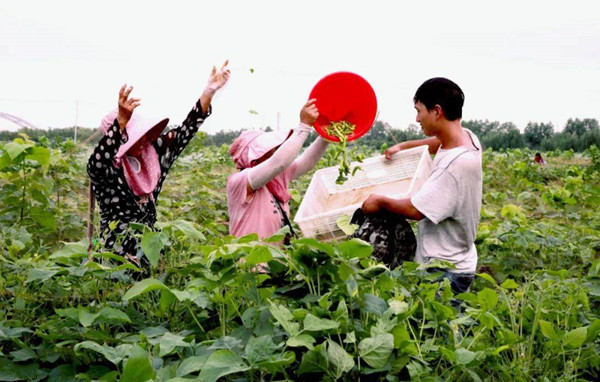 1718323597319871.jpg 22_副本.jpg