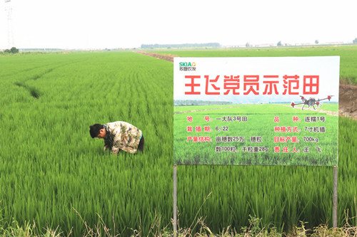 1609983504854783.jpg IMG_9560_副本.jpg