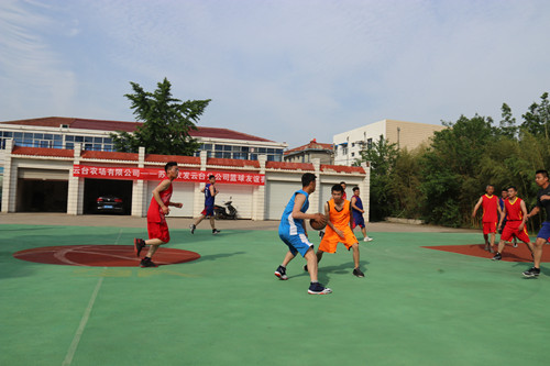 1611736080682484.jpg IMG_0539_副本.jpg