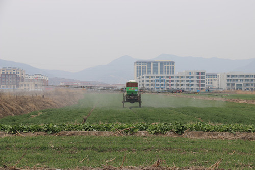 1614039492267012.jpg IMG_8625_副本.jpg