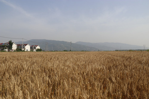 1622422980121719.jpg IMG_9192_副本.jpg