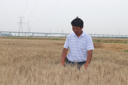 1625184437820659.jpg IMG_9236_副本.jpg