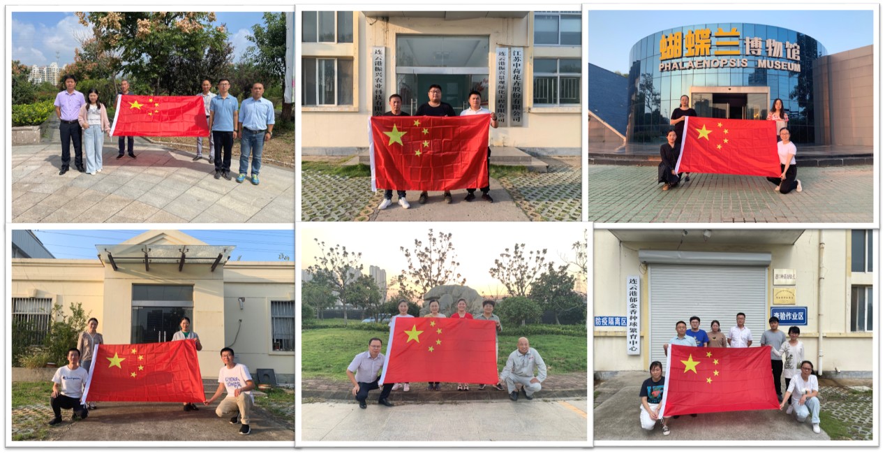 图片1(1).jpg
